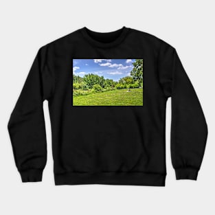 The Spot Crewneck Sweatshirt